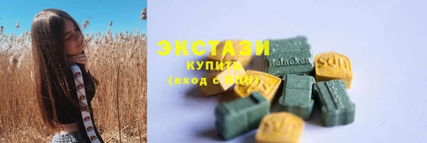 СК Алексин