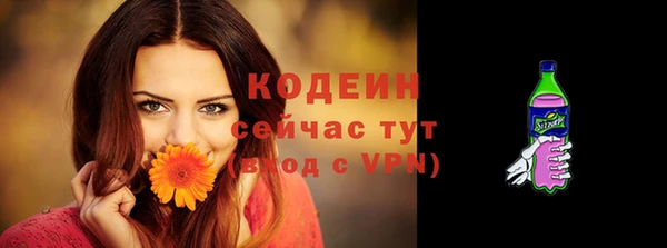 spice Инсар