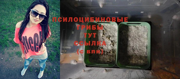 СК Алексин