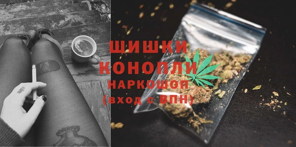 СК Алексин
